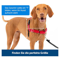 PetSafe Easy Walk Harness For Dogs Snap 1.8m Lead Medium Black