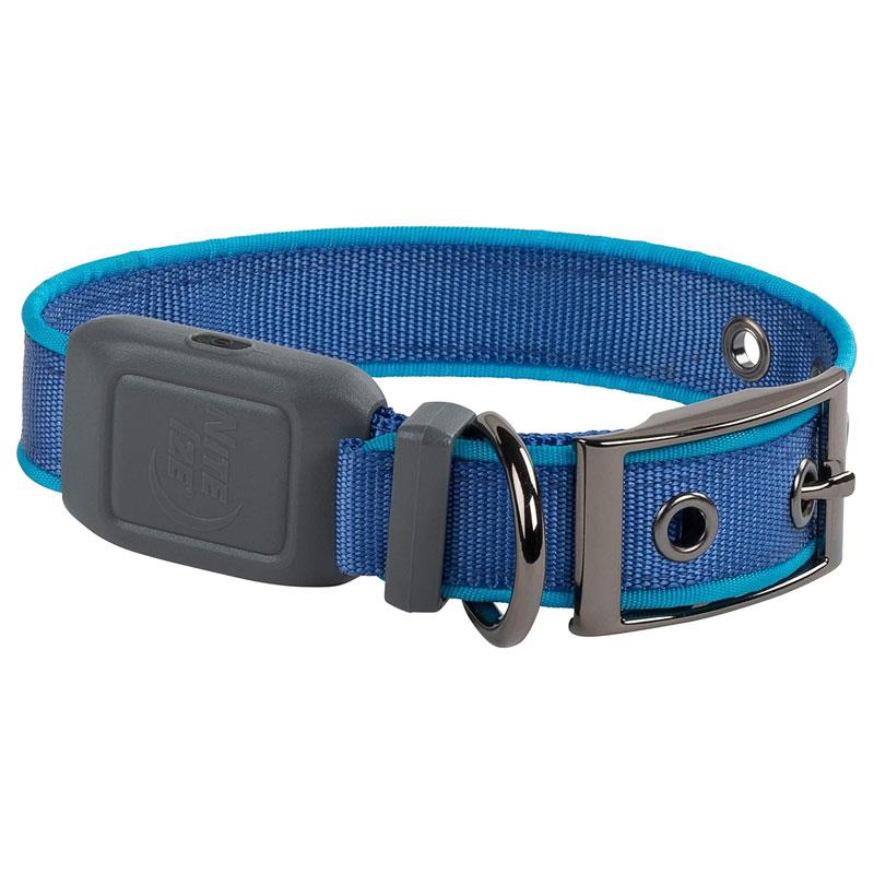 Nite Ize NiteDog Rechargeable LED Collar Small Metal Buckle Water Resistant Blue