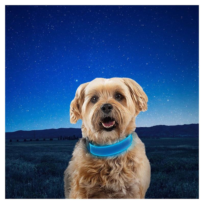 Nite Ize NiteDog Rechargeable LED Collar Small Metal Buckle Water Resistant Blue