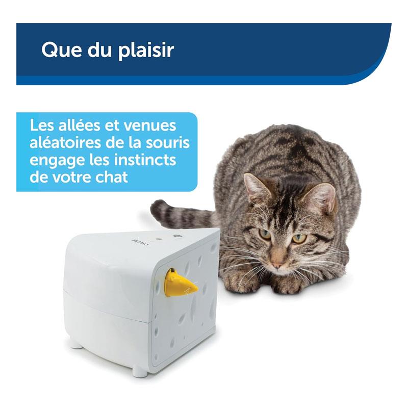 PetSafe Portable Cheese Automatic Cat Teaser Interactive Toys For Cats White