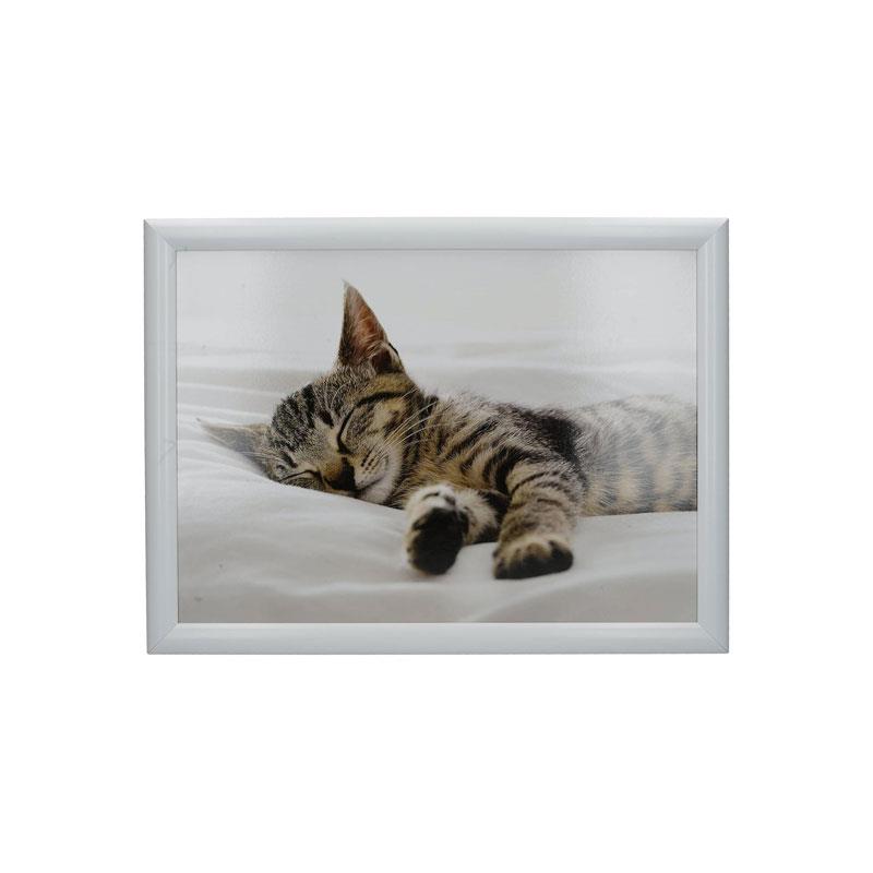 Creative Tops Sleeping Kitten Lap Tray With Cushion Bean Bag Cushioned 44 x 34cm Wood Multicolour Main image