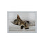 Creative Tops Sleeping Kitten Lap Tray With Cushion Bean Bag Cushioned 44 x 34cm Wood Multicolour