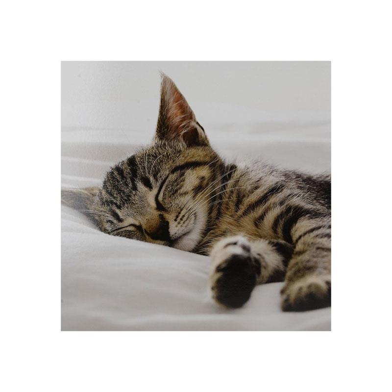 Creative Tops Sleeping Kitten Lap Tray With Cushion Bean Bag Cushioned 44 x 34cm Wood Multicolour