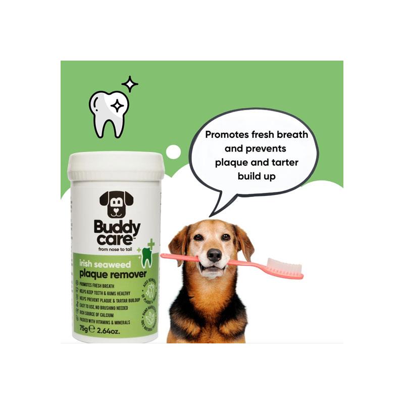Buddycare Irish Seaweed Plaque Remover For Dogs Cats 75g