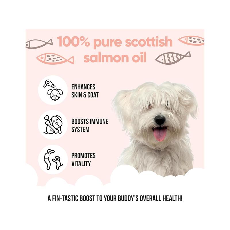 Buddycare Scottish Salmon Oil For Dogs And Cats 500ml