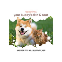 Buddycare Scottish Salmon Oil For Dogs And Cats 500ml