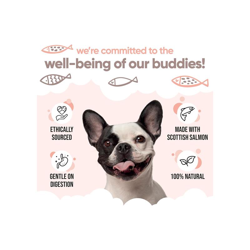 Buddycare Scottish Salmon Oil For Dogs And Cats 500ml