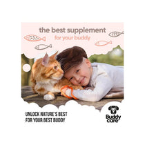 Buddycare Scottish Salmon Oil For Dogs And Cats 500ml