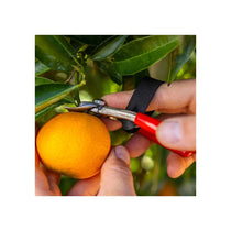 Felco Model 330 Fruit Clipper Carbon Steel Blades Anvil Style Cut Silver/Red