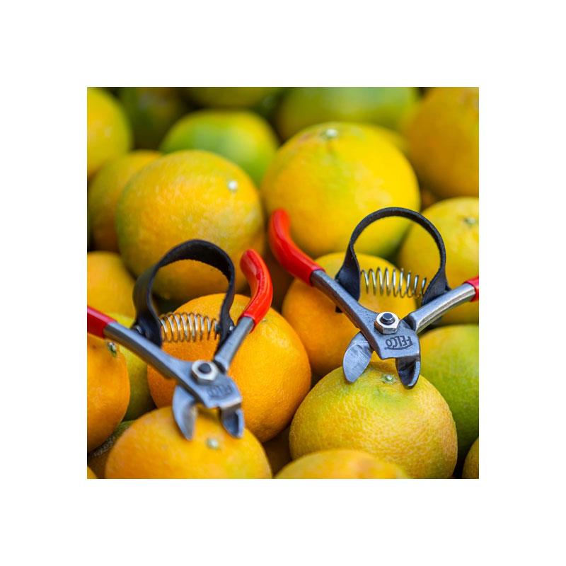 Felco Model 330 Fruit Clipper Carbon Steel Blades Anvil Style Cut Silver/Red