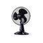Status 12 Inch Desktop Fan With 3 Speed Settings Oscillating 35W Black