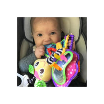 Playgro Soft Butterfly Teddy Baby Sensory Toy Multicolour