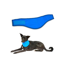Petface Cooling Summer Pet Bandana Large 38-52 cm Neck Blue