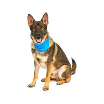 Petface Cooling Summer Pet Bandana Large 38-52 cm Neck Blue