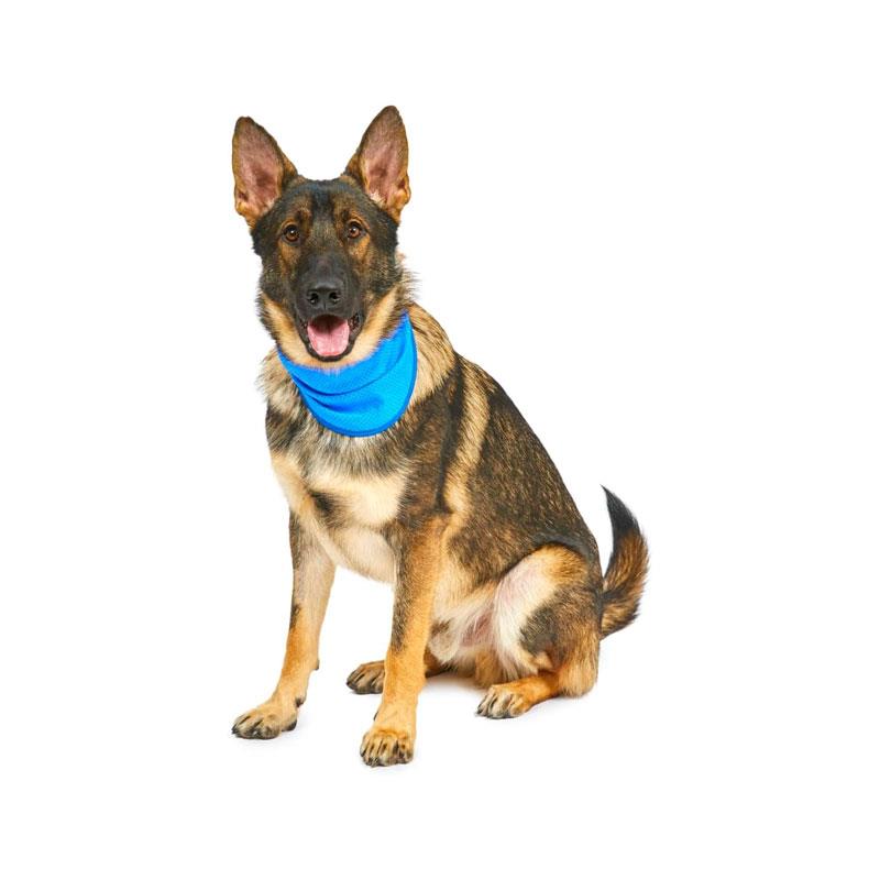 Petface Cooling Summer Pet Bandana Large 38-52 cm Neck Blue