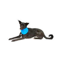Petface Cooling Summer Pet Bandana Large 38-52 cm Neck Blue