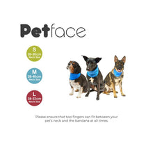 Petface Cooling Summer Pet Bandana Large 38-52 cm Neck Blue