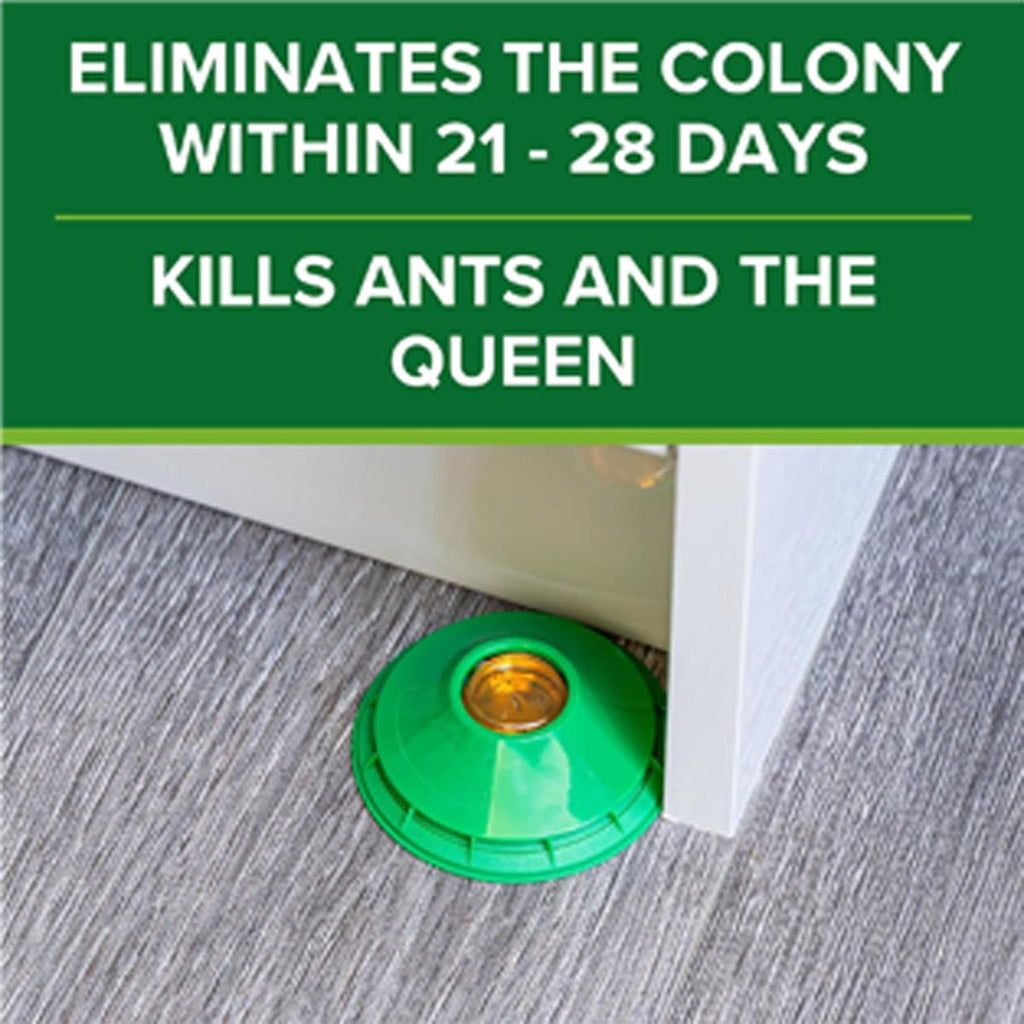 Acana Ant Killer Bait Stations Pack Of 3 With Real Honey Indoor Ant Trap For Colony And Queen Control