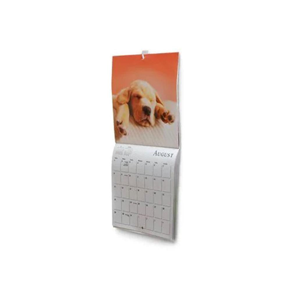 3M Command Micro Hooks Mini 225g Holding Power White Hooks with Strips