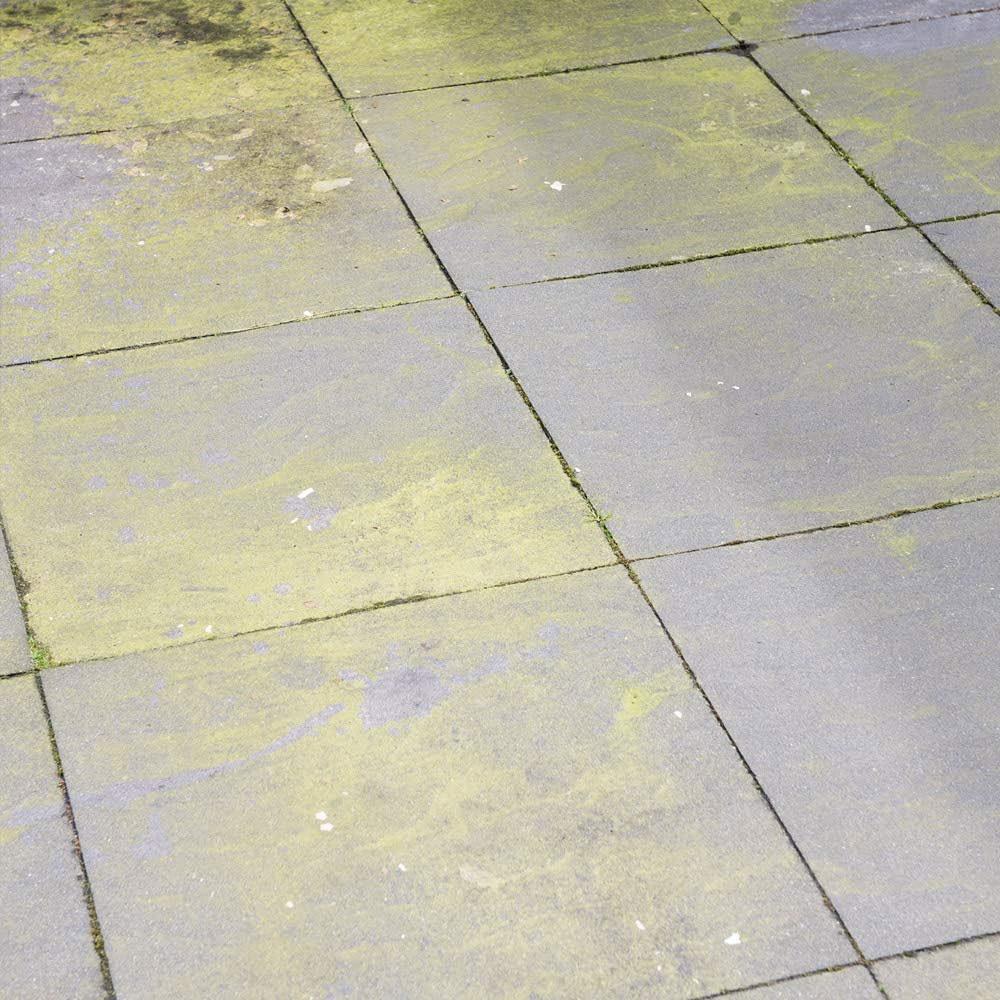 HG Algae And Mould Remover - 1 Litre