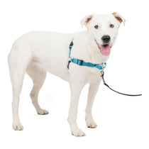 PetSafe Easy Walk Deluxe Harness For Dogs 1.8m Lead Medium/Large Ocean Blue