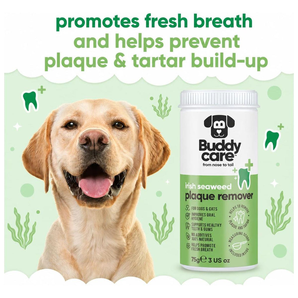 Buddycare Irish Seaweed Plaque Remover For Dogs Cats 75g
