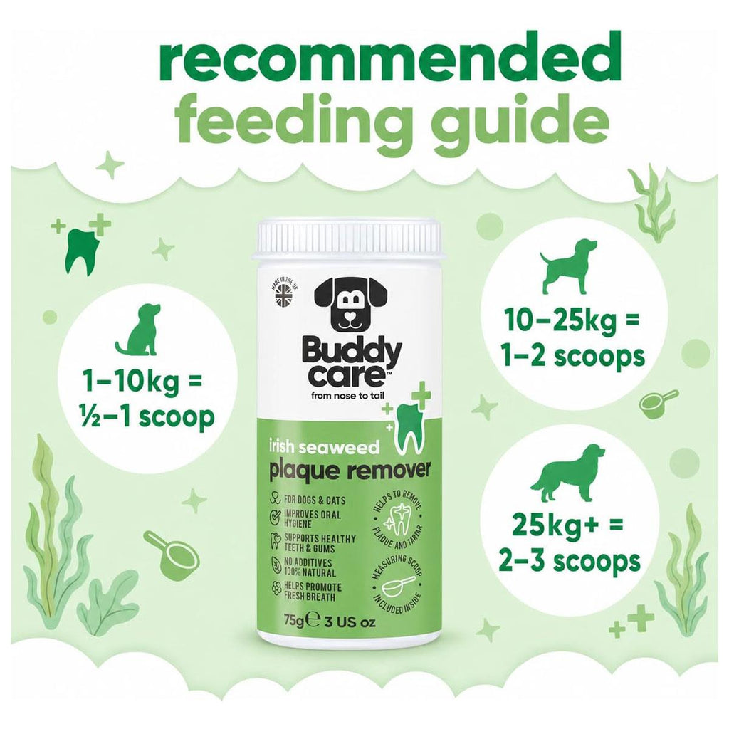 Buddycare Irish Seaweed Plaque Remover For Dogs Cats 75g