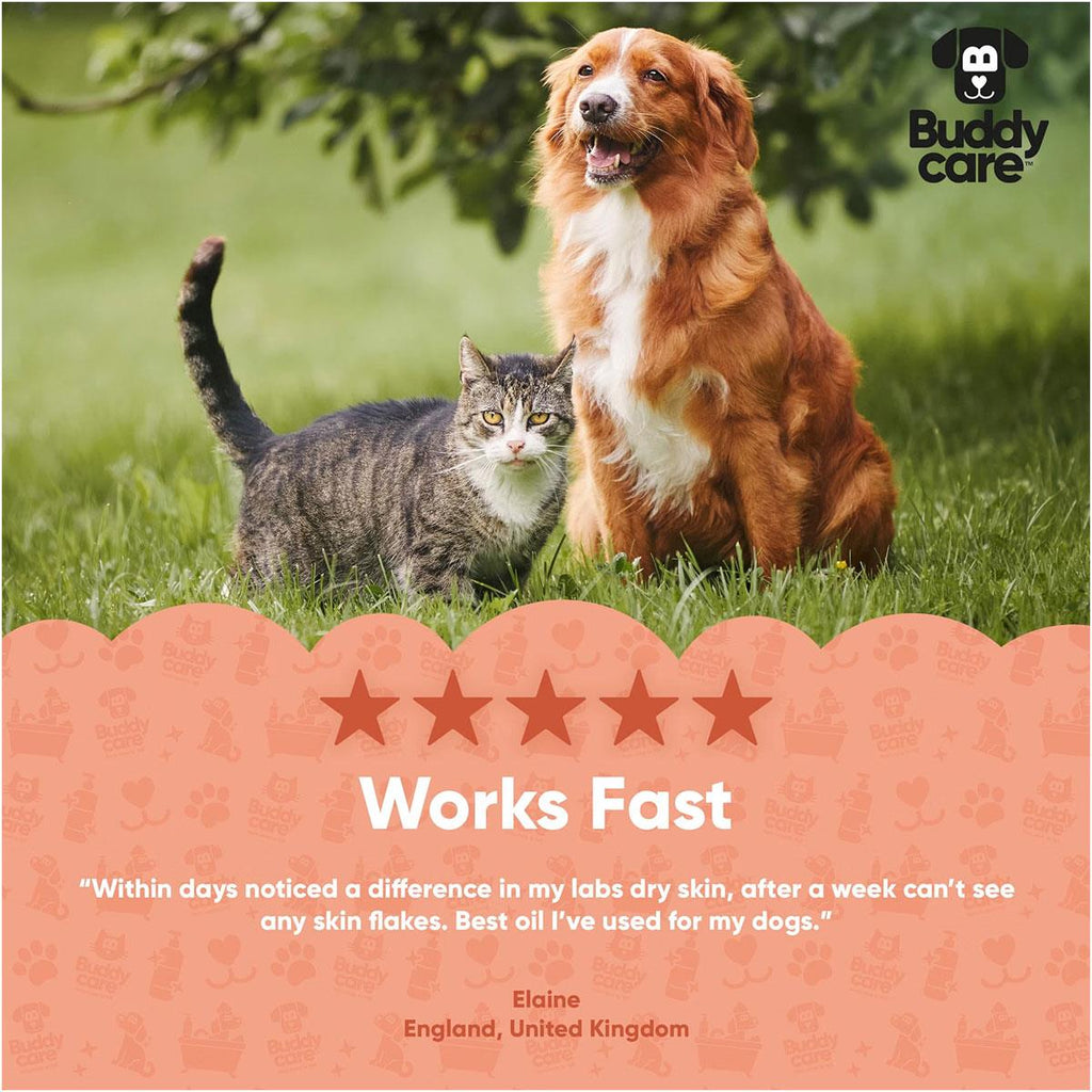 Buddycare Scottish Salmon Oil For Dogs And Cats 500ml