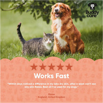 Buddycare Scottish Salmon Oil For Dogs And Cats 500ml