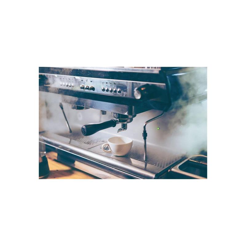 Philips Saeco Descaler For Espresso Machines And Fully Automatic Coffee Machines 250ml 2 Pack