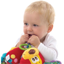 Playgro Activity Soft Toy Harry Puppy Dog Multicolour