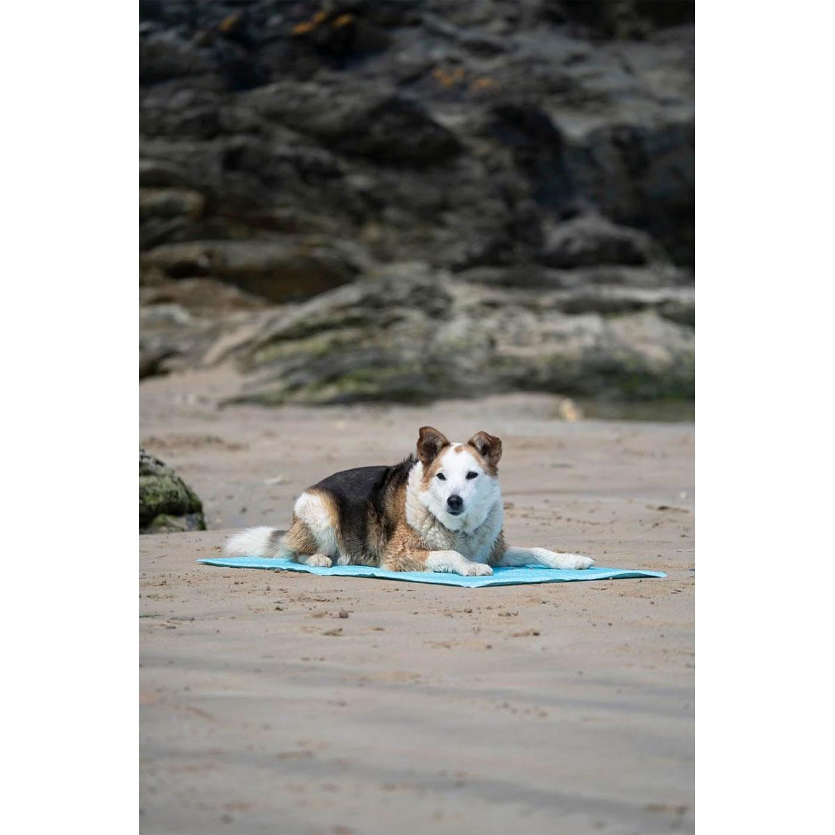 Petface Gel Dog Cooling Mat Large 90x50cm Blue