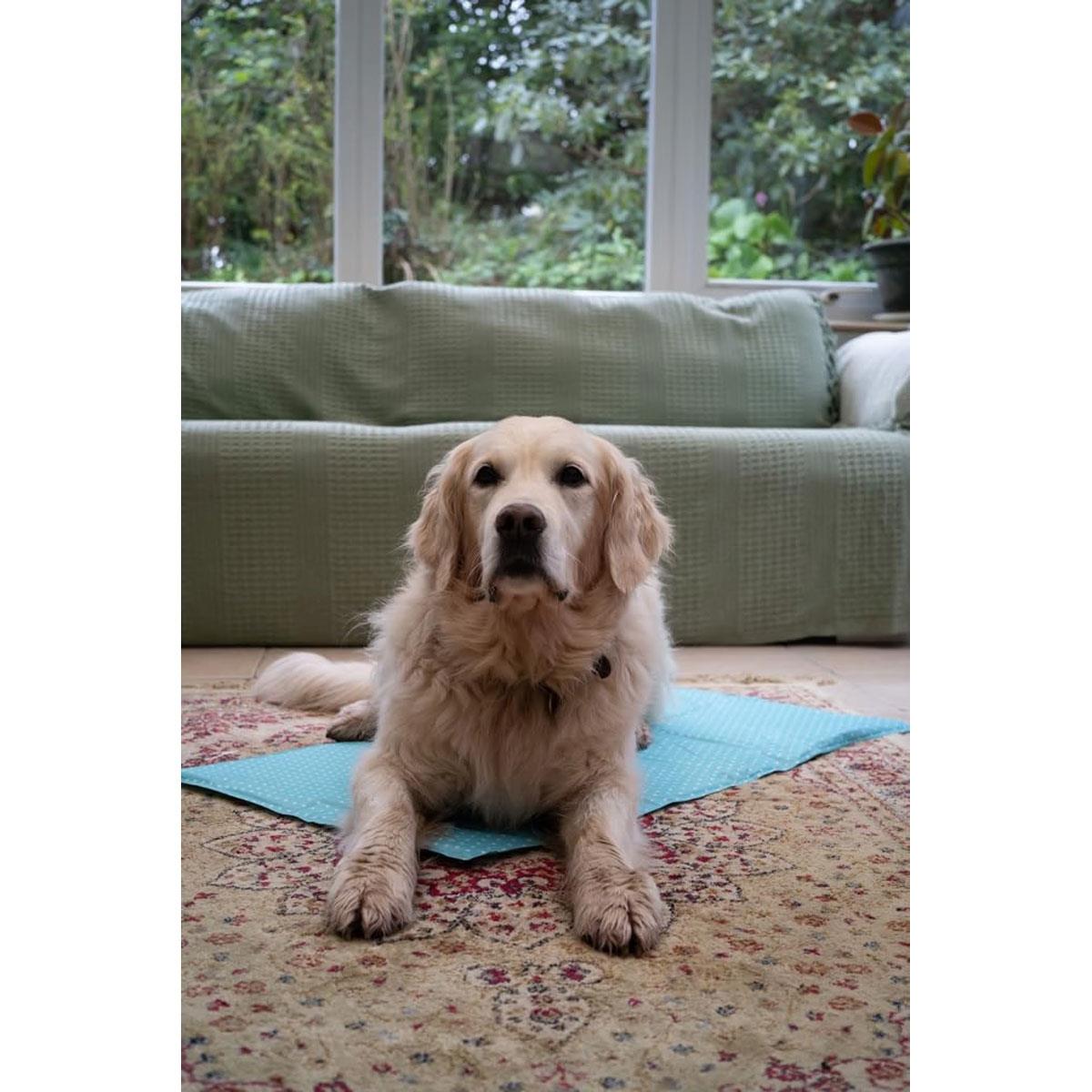 Petface Gel Dog Cooling Mat Large 90x50cm Blue