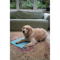 Petface Gel Dog Cooling Mat Large 90x50cm Blue
