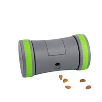 PetSafe Kibble Chase Roaming Treat Dispenser Dog Toy Gray
