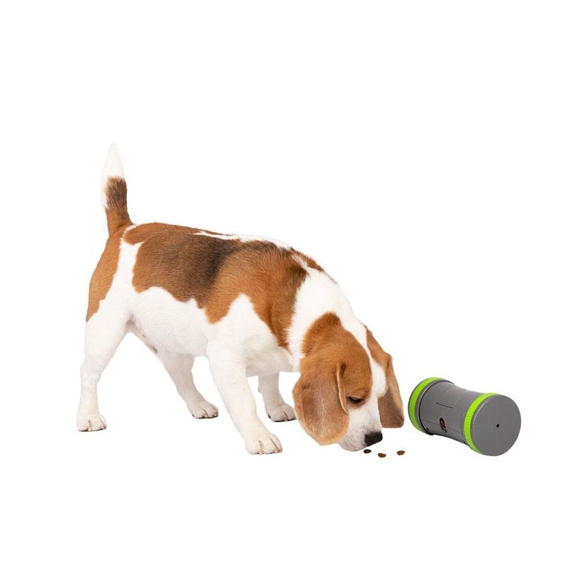 PetSafe Kibble Chase Roaming Treat Dispenser Dog Toy Gray