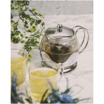 La Cafetiere Izmir Glass Loose Leaf Teapot Silver