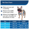 PetSafe Staywell Aluminum Pet Door Flap Energy Efficient Magnetic Locking Large - Image 6