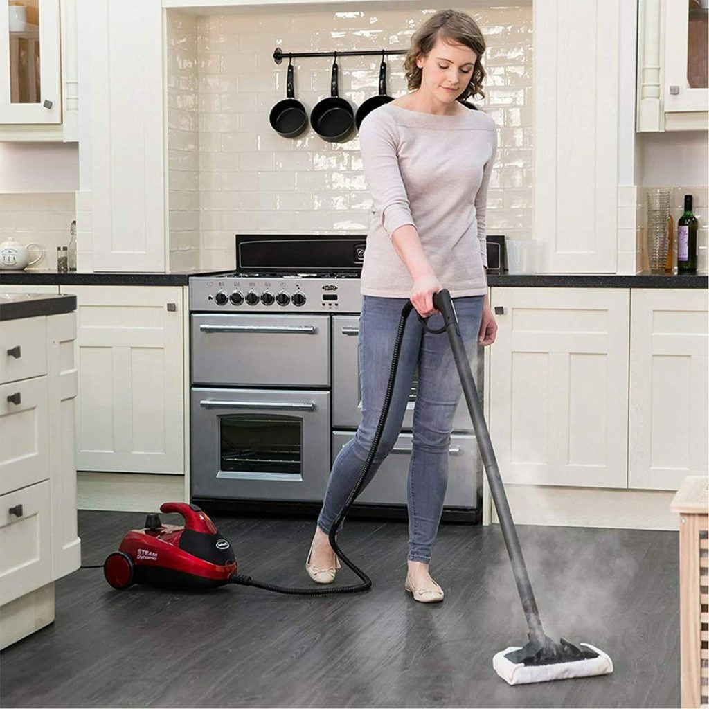 Ewbank Dynamo Multi Tool Steam Cleaner 1000 W Red And Black BuysBest