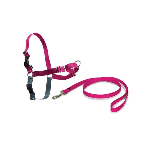 PetSafe Dogs Snap Extra Small Lead