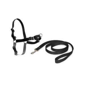 Easy Walk Harness For Dogs Snap Medium Lead