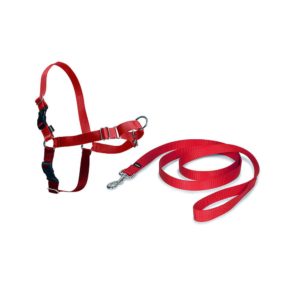 PetSafe Easy Walk Harness For Dogs Snap Medium 1.8 m Lead – Red