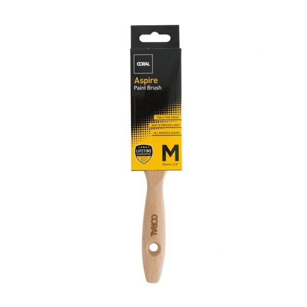 Coral Aspire Paint Brush