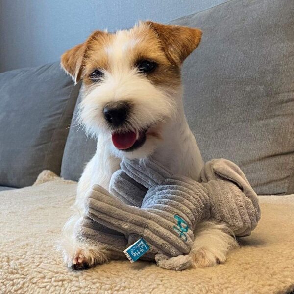 Petface Little Freddi Cord Plush Puppy Dog Toy - Grey - Image 7