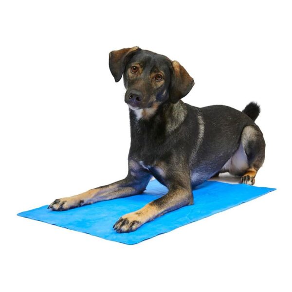 Petface Cooling Summer Pet Towel 66cm x 43cm - Blue - Image 4