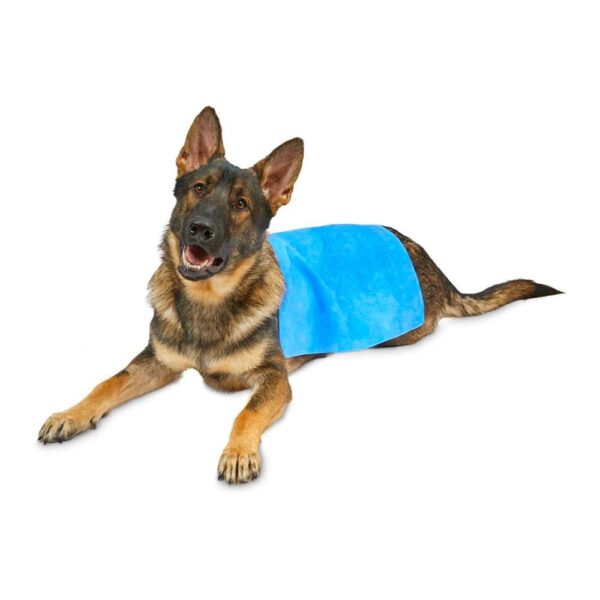 Petface Cooling Summer Pet Towel 66cm x 43cm - Blue - Image 5