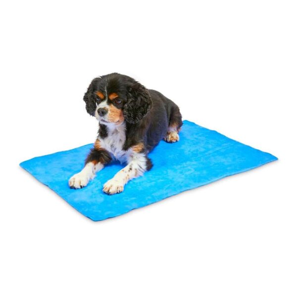 Petface Cooling Summer Pet Towel 66cm x 43cm - Blue - Image 6