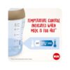 NUK Perfect Match Baby Bottles Set 3 x Anti Colic Baby Bottles & Space Soother - Disney Winnie The Pooh - Image 3