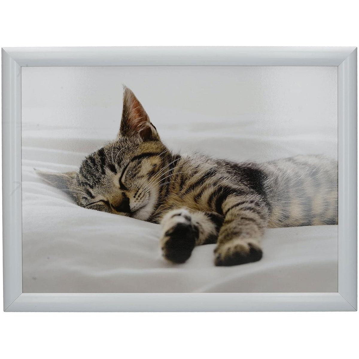 Creative Tops Kitten Lap Tray with Cushion Wood Tray with Bean Bag Base 44 x 34cm Multi-Colour
