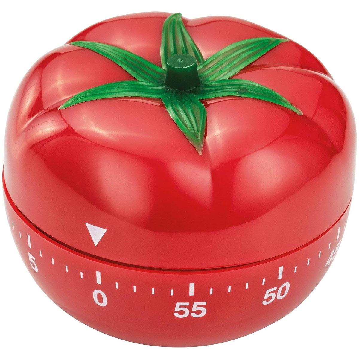 Judge Tomato Kitchen Timer 60 Minute Wind-Up Mechanical Cooking Timer Red Plastic